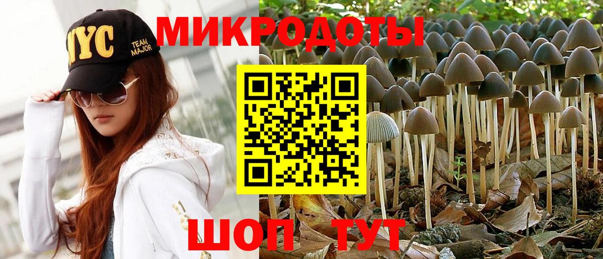 Гулькевичи  Псилоцибиновые грибы мицелий  Вход с VPN  Псилоцибиновые грибы MAGIC MUSHROOMS 
